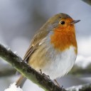 สมาชิกหมายเลข 3777663