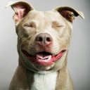 สมาชิกหมายเลข 4240578