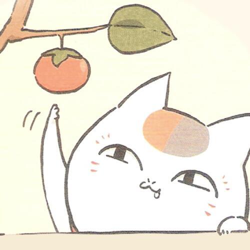 สมาชิกหมายเลข 4986220