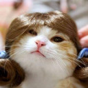 สมาชิกหมายเลข 5382990