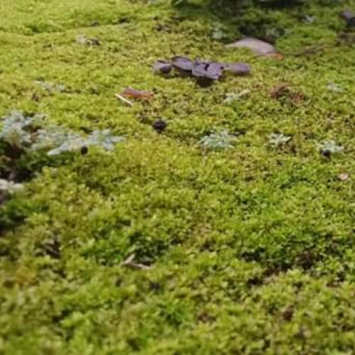 สมาชิกหมายเลข 1733864