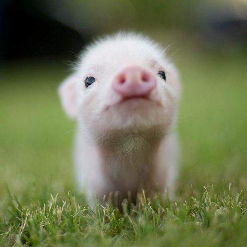 สมาชิกหมายเลข 4630607