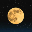 สมาชิกหมายเลข 2098729