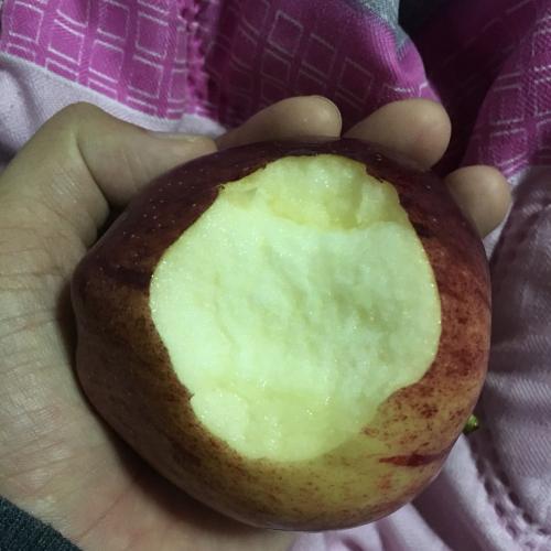 สมาชิกหมายเลข 4644461