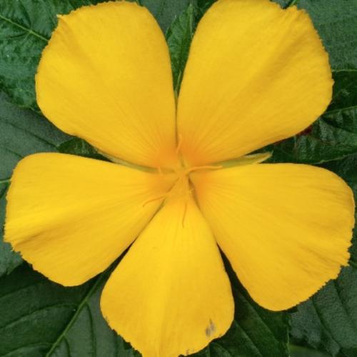 สมาชิกหมายเลข 5882180