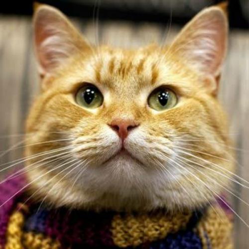 สมาชิกหมายเลข 5136646