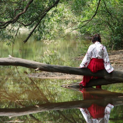 สมาชิกหมายเลข 7188398