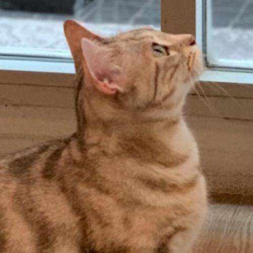 สมาชิกหมายเลข 933653