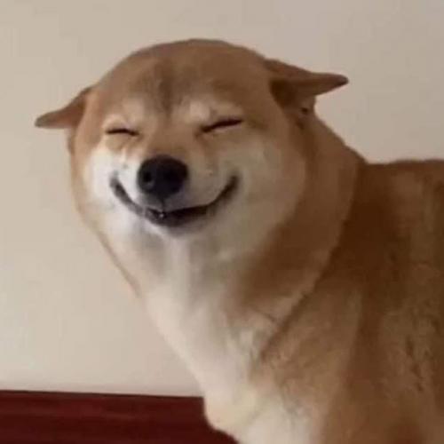 สมาชิกหมายเลข 5008764