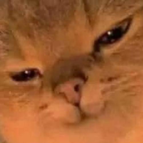 สมาชิกหมายเลข 6988999