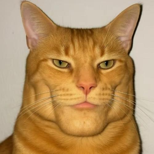 สมาชิกหมายเลข 2340825