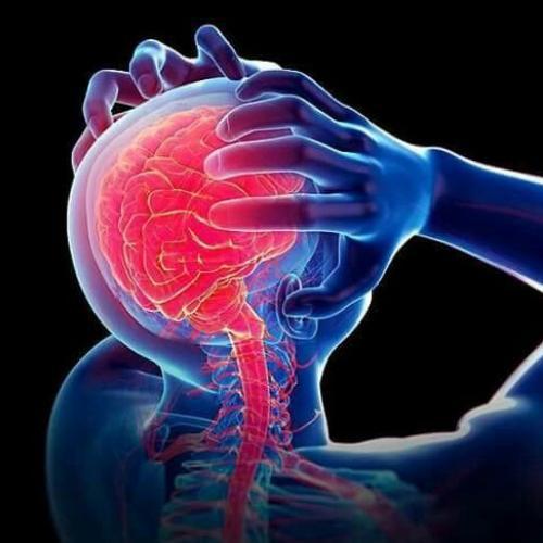 สมาชิกหมายเลข 9019677