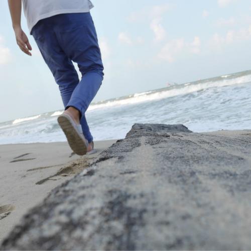 Kookkai Around The World