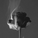 สมาชิกหมายเลข 4242870