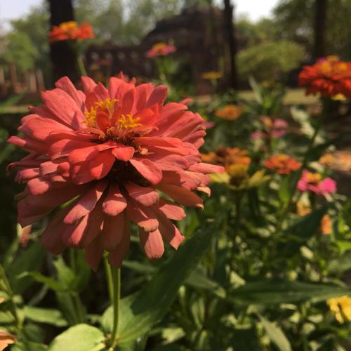 สมาชิกหมายเลข 3900730