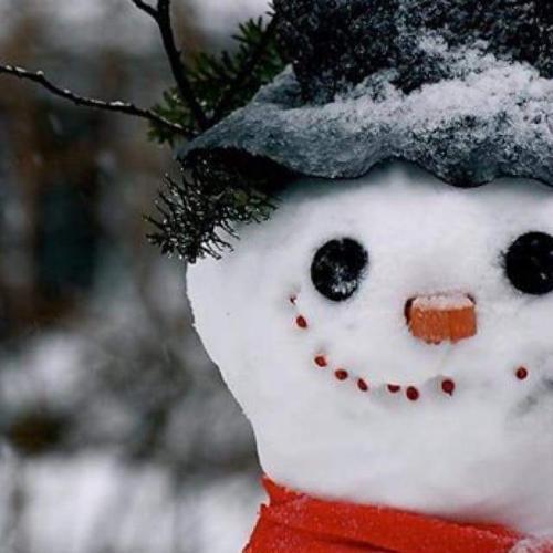 สมาชิกหมายเลข 4567498