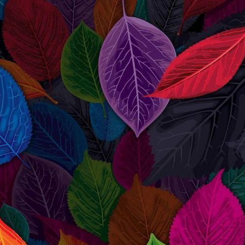 สมาชิกหมายเลข 4770222