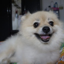 สมาชิกหมายเลข 4989723