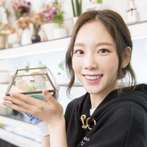 everything tae-yeon
