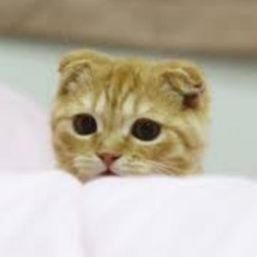 สมาชิกหมายเลข 5860313