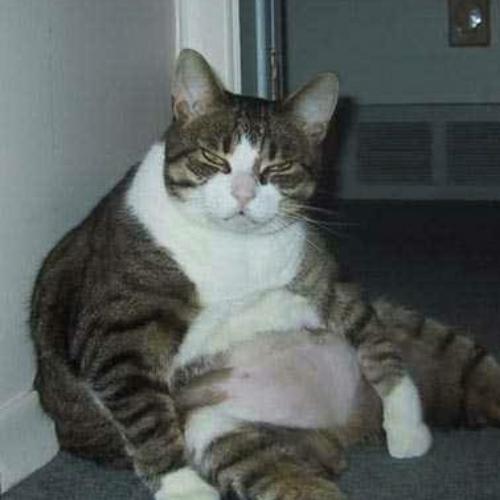 สมาชิกหมายเลข 5874818