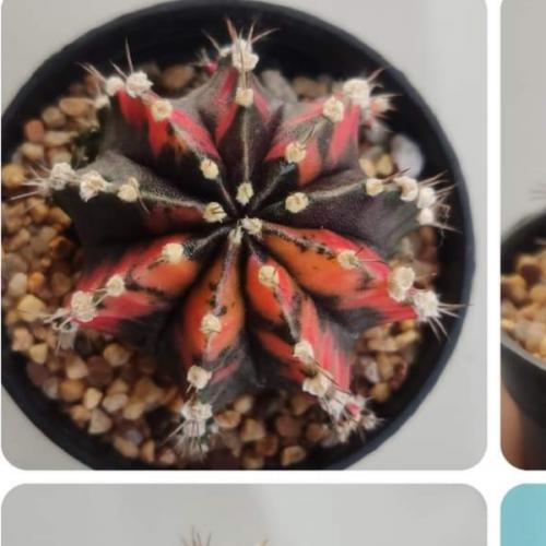 สมาชิกหมายเลข 5758784