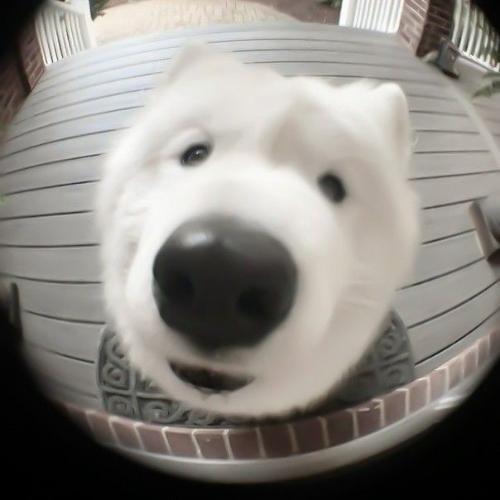 สมาชิกหมายเลข 7992530