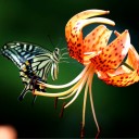 สมาชิกหมายเลข 2357893