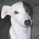 สมาชิกหมายเลข 3618002