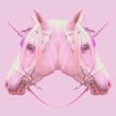 สมาชิกหมายเลข 3747198