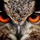 สมาชิกหมายเลข 3778541