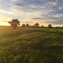 สมาชิกหมายเลข 1518875