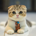 สมาชิกหมายเลข 1848718