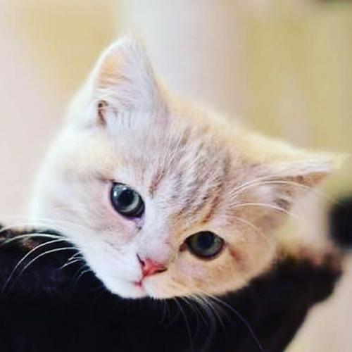 สมาชิกหมายเลข 4631557