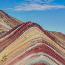 เดินช้าชมนกชมไม้