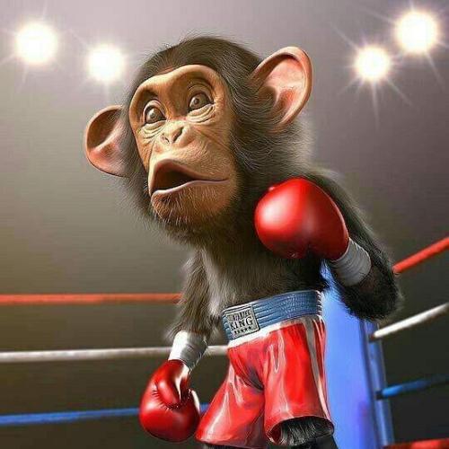 สมาชิกหมายเลข 4481989