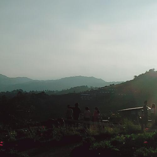 สมาชิกหมายเลข 4589154