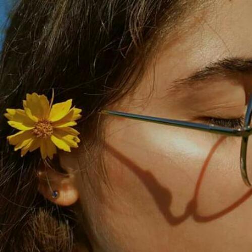 สมาชิกหมายเลข 4988281