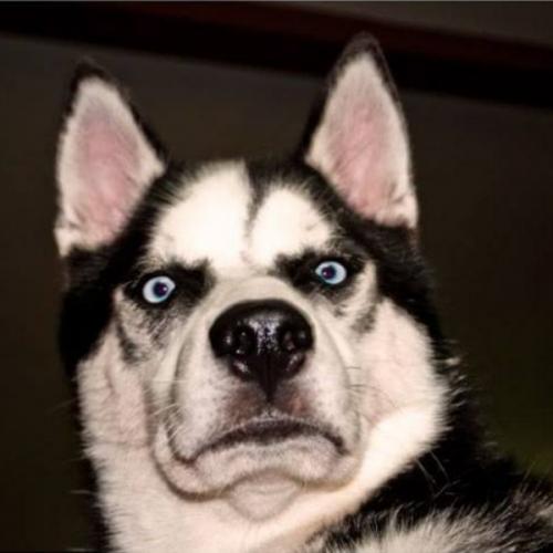 สมาชิกหมายเลข 3361583