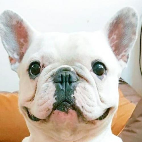 สมาชิกหมายเลข 6482878