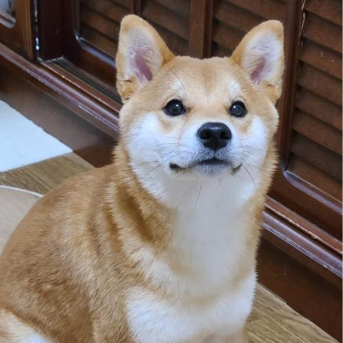 สมาชิกหมายเลข 6482879