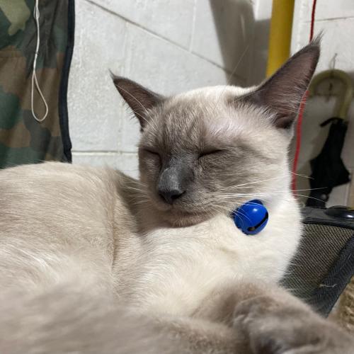 สมาชิกหมายเลข 7155463