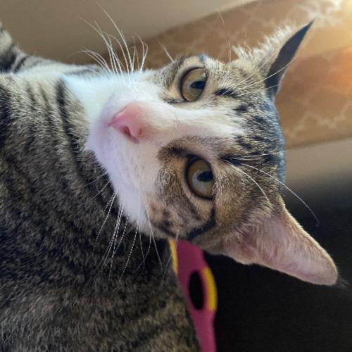 สมาชิกหมายเลข 4552224