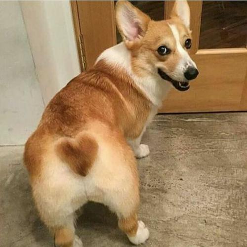 สมาชิกหมายเลข 3491607