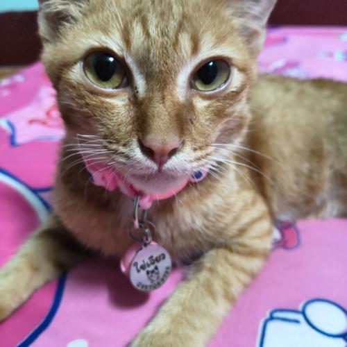 สมาชิกหมายเลข 6701858