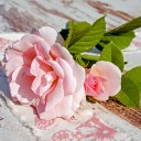 สมาชิกหมายเลข 2180736