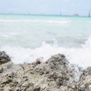 สมาชิกหมายเลข 4243329