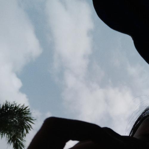 สมาชิกหมายเลข 4631726