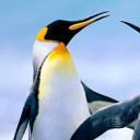 สมาชิกหมายเลข 4631903