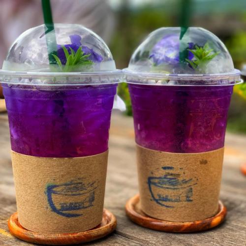 สมาชิกหมายเลข 5319184